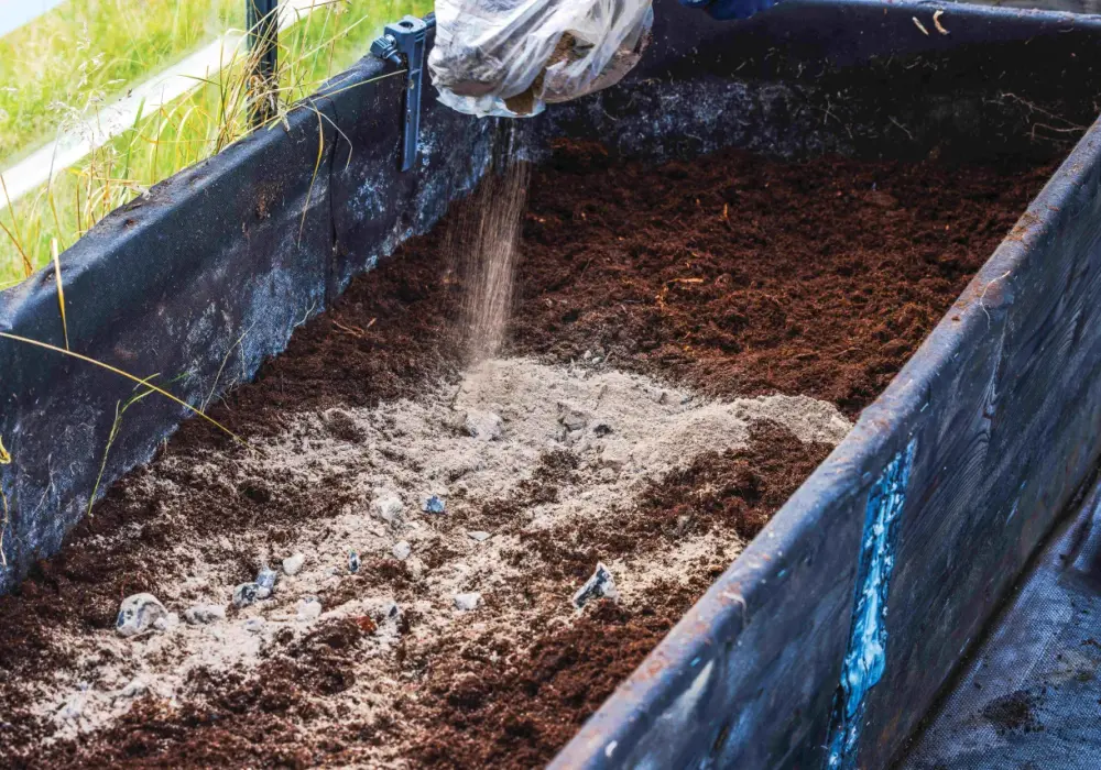 Popiół z grilla jako nawóz - naturalne wsparcie dla roślin w ogrodzie