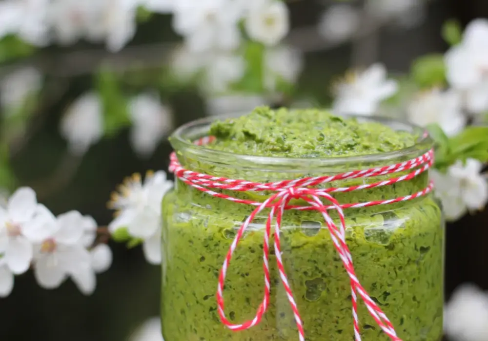 Pesto z czosnku niedźwiedziego - Zrób sam i zachowaj smak wiosny