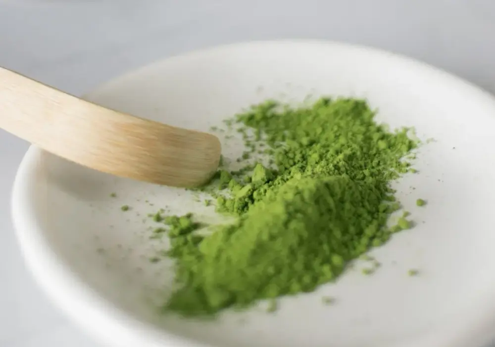Matcha - jak parzyć, wybrać i pić? Kompletny przewodnik
