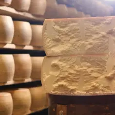 Jak powstaje parmezan? Odkryj tajemnice tradycyjnego procesu produkcji