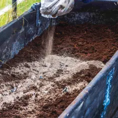 Popiół z grilla jako nawóz - naturalne wsparcie dla roślin w ogrodzie