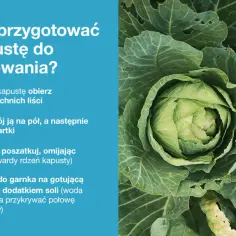 Świeża, zielona główka kapusty z bliska, z tekstem poradnika.