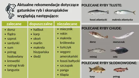 Ryby morskie - Jak wybrać i przyrządzić, by zawsze smakowały?
