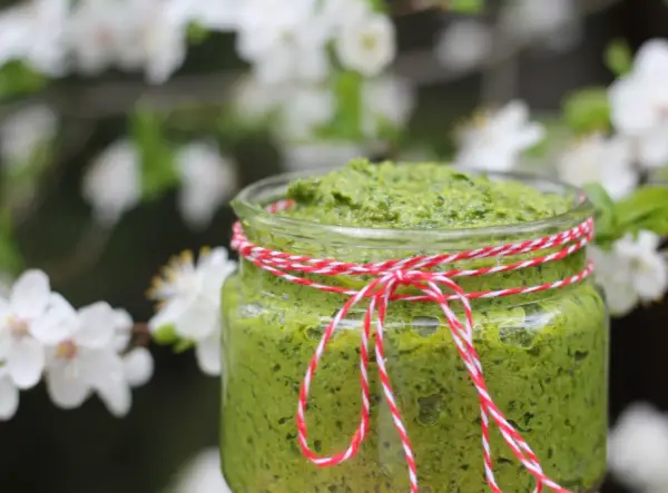 Pesto z czosnku niedźwiedziego - Zrób sam i zachowaj smak wiosny