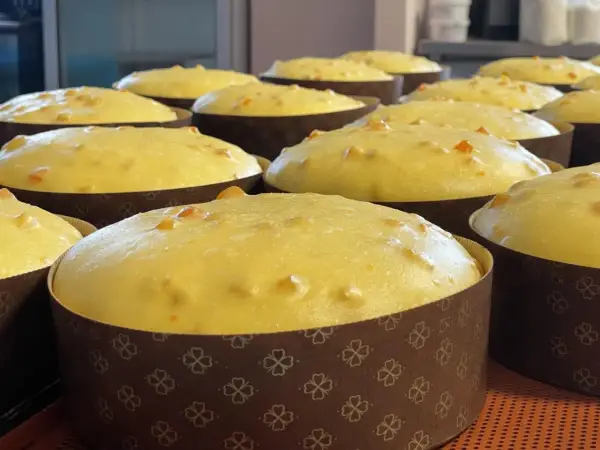 Panettone w domu - Odkryj sekret włoskiego symbolu Świąt